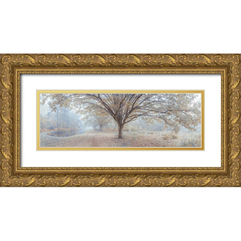 Canal through forest Gold Ornate Wood Framed Art Print with Double Matting by Frank, Assaf
