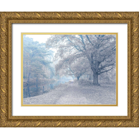 Misty Canal-Autumn Gold Ornate Wood Framed Art Print with Double Matting by Frank, Assaf