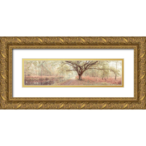Canal through forest Gold Ornate Wood Framed Art Print with Double Matting by Frank, Assaf