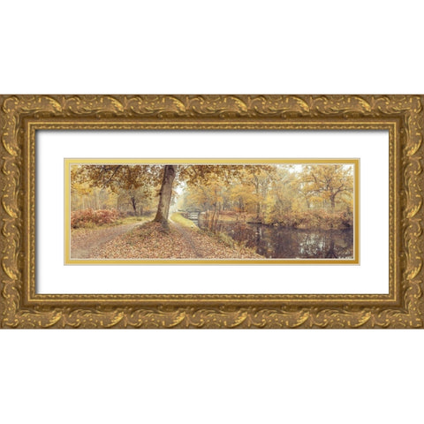 Canal through forest Gold Ornate Wood Framed Art Print with Double Matting by Frank, Assaf