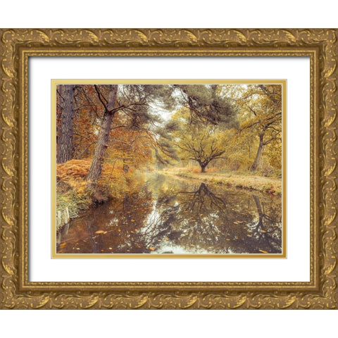 Canal through forest Gold Ornate Wood Framed Art Print with Double Matting by Frank, Assaf