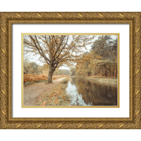 Canal through forest Gold Ornate Wood Framed Art Print with Double Matting by Frank, Assaf