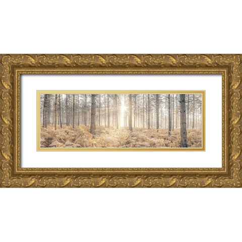 Sunrays through forest trees Gold Ornate Wood Framed Art Print with Double Matting by Frank, Assaf