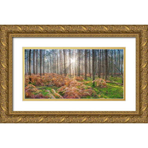Sunrays through forest trees Gold Ornate Wood Framed Art Print with Double Matting by Frank, Assaf