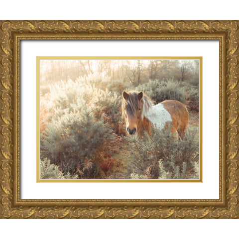 Horse in forest Gold Ornate Wood Framed Art Print with Double Matting by Frank, Assaf