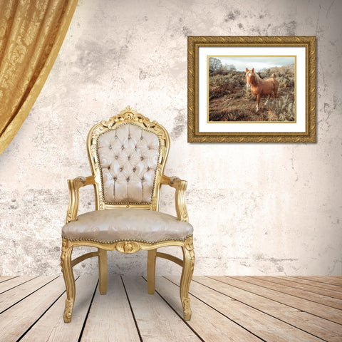 Horses in the wild Gold Ornate Wood Framed Art Print with Double Matting by Frank, Assaf