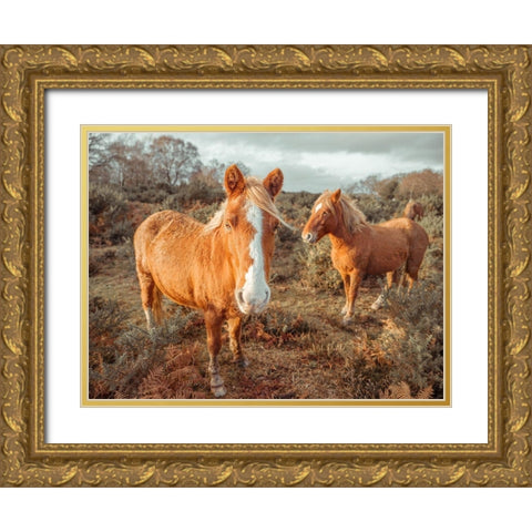 Horses in forest Gold Ornate Wood Framed Art Print with Double Matting by Frank, Assaf