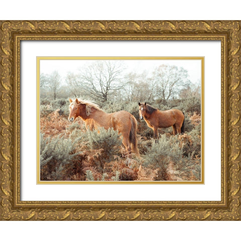Horses in forest Gold Ornate Wood Framed Art Print with Double Matting by Frank, Assaf