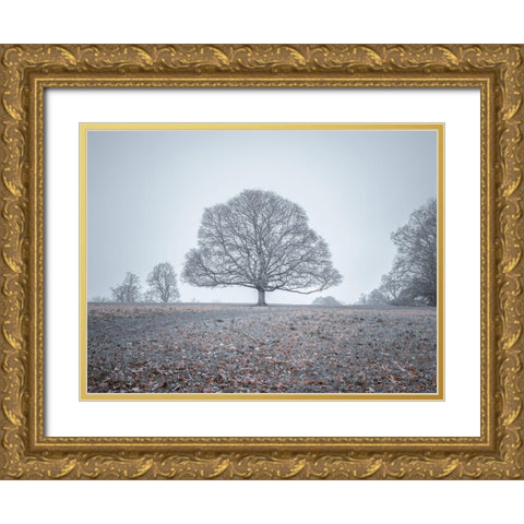 Single tree in meadow Gold Ornate Wood Framed Art Print with Double Matting by Frank, Assaf