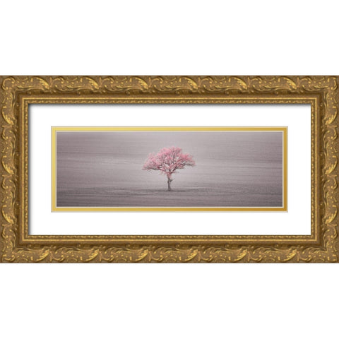 Single tree in foggy field Gold Ornate Wood Framed Art Print with Double Matting by Frank, Assaf