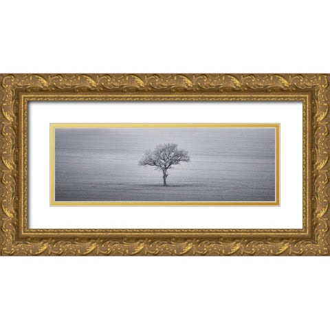 Single tree in foggy grassfield Gold Ornate Wood Framed Art Print with Double Matting by Frank, Assaf