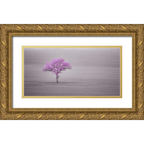 Single tree in foggy grassfield Gold Ornate Wood Framed Art Print with Double Matting by Frank, Assaf