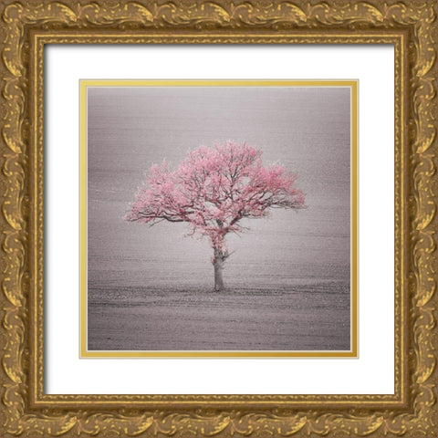 Single tree in foggy grassfield Gold Ornate Wood Framed Art Print with Double Matting by Frank, Assaf