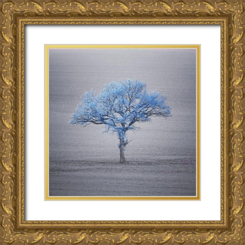 Single tree in foggy grassfield Gold Ornate Wood Framed Art Print with Double Matting by Frank, Assaf