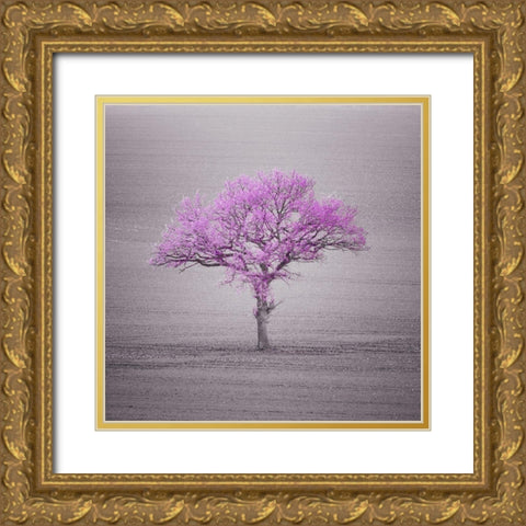 Single tree in foggy grassfield Gold Ornate Wood Framed Art Print with Double Matting by Frank, Assaf