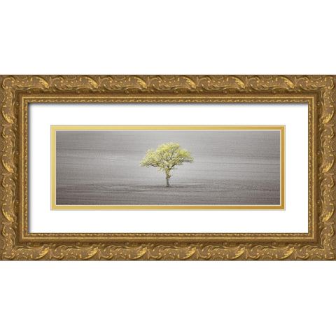 Single tree in foggy field Gold Ornate Wood Framed Art Print with Double Matting by Frank, Assaf