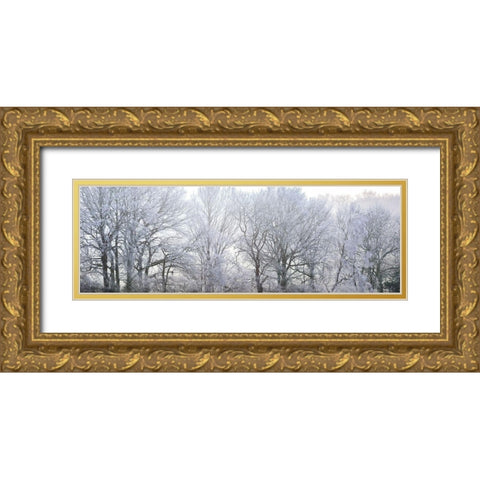 Misty forest Gold Ornate Wood Framed Art Print with Double Matting by Frank, Assaf