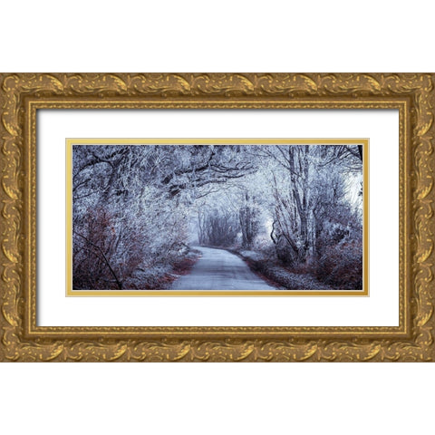Frosted road through forest Gold Ornate Wood Framed Art Print with Double Matting by Frank, Assaf
