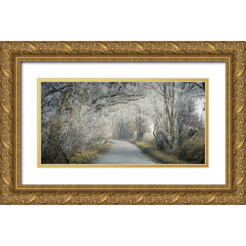 Frosted road through forest Gold Ornate Wood Framed Art Print with Double Matting by Frank, Assaf