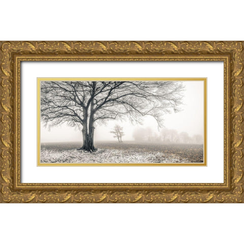 Misty forest Gold Ornate Wood Framed Art Print with Double Matting by Frank, Assaf