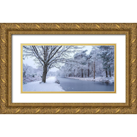 Canal through forest Gold Ornate Wood Framed Art Print with Double Matting by Frank, Assaf