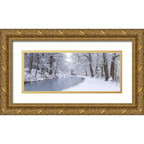 Canal through forest Gold Ornate Wood Framed Art Print with Double Matting by Frank, Assaf