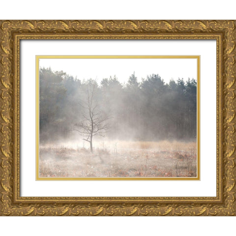 Misty forest Gold Ornate Wood Framed Art Print with Double Matting by Frank, Assaf