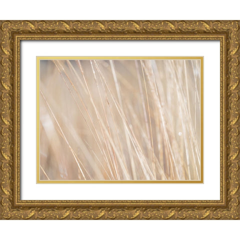 Reeds Gold Ornate Wood Framed Art Print with Double Matting by Frank, Assaf