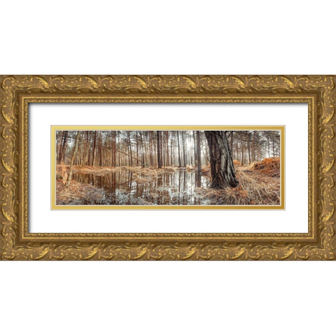Canal through forest Gold Ornate Wood Framed Art Print with Double Matting by Frank, Assaf