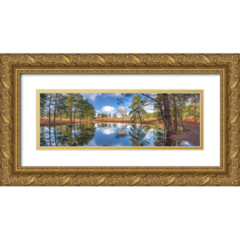 Canal through forest Gold Ornate Wood Framed Art Print with Double Matting by Frank, Assaf