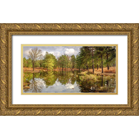 Canal through forest Gold Ornate Wood Framed Art Print with Double Matting by Frank, Assaf