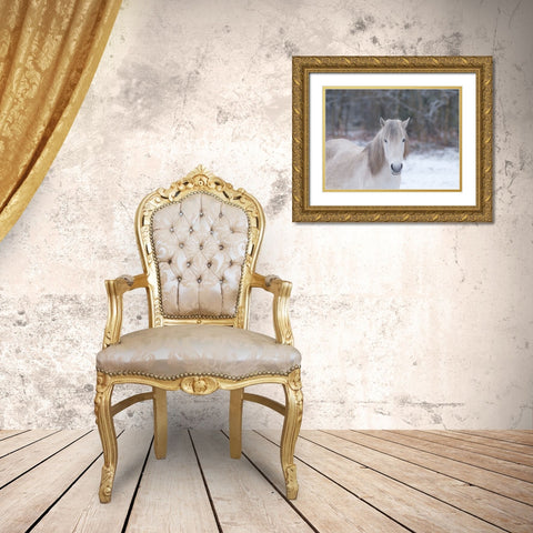 Horse in snowy forest Gold Ornate Wood Framed Art Print with Double Matting by Frank, Assaf