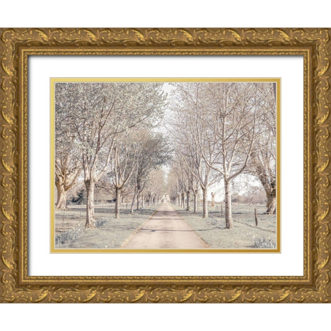 Pathway through forest Gold Ornate Wood Framed Art Print with Double Matting by Frank, Assaf