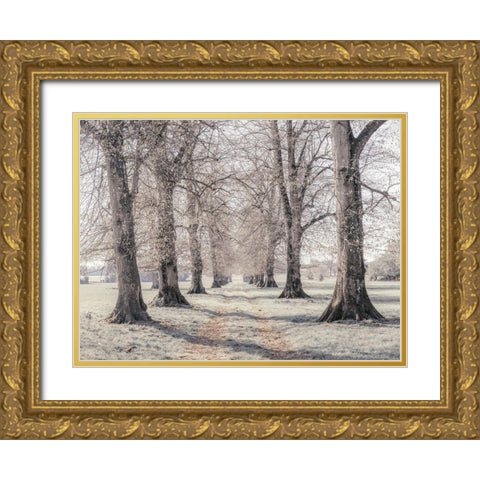Pathway through forest Gold Ornate Wood Framed Art Print with Double Matting by Frank, Assaf