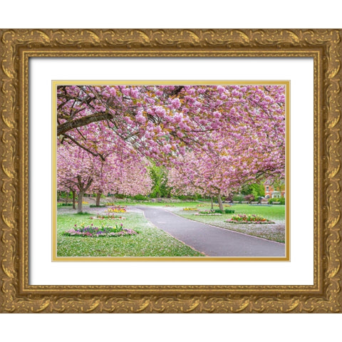 Blossom in the park Gold Ornate Wood Framed Art Print with Double Matting by Frank, Assaf