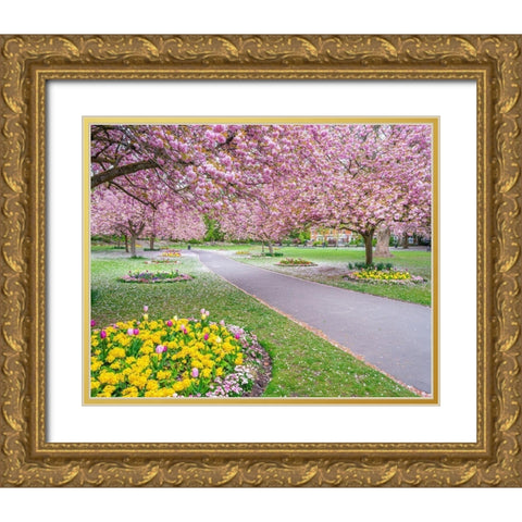 Blossom in the park Gold Ornate Wood Framed Art Print with Double Matting by Frank, Assaf