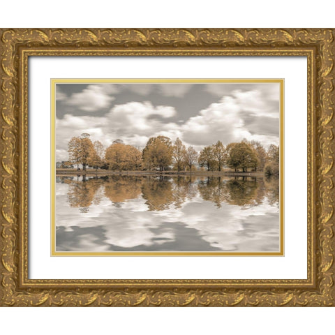 Trees along the lake Gold Ornate Wood Framed Art Print with Double Matting by Frank, Assaf