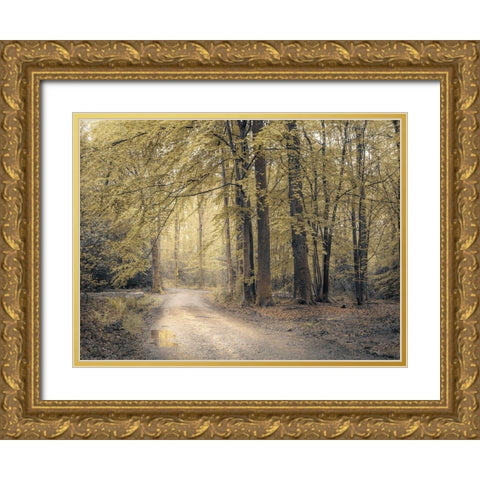Pathway through forest Gold Ornate Wood Framed Art Print with Double Matting by Frank, Assaf