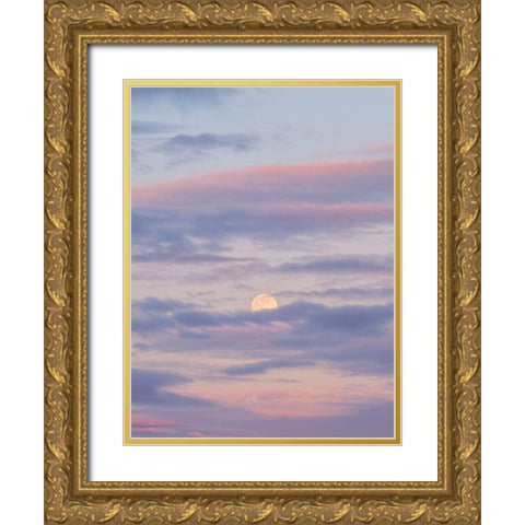 Colourful skies at sunset Gold Ornate Wood Framed Art Print with Double Matting by Frank, Assaf