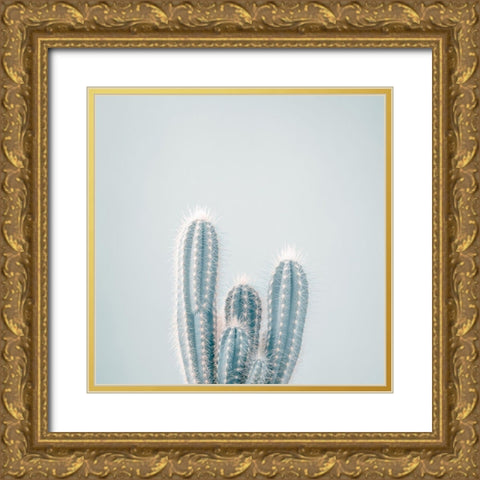 Micranthocereus Estevesii Cactus Gold Ornate Wood Framed Art Print with Double Matting by Frank, Assaf