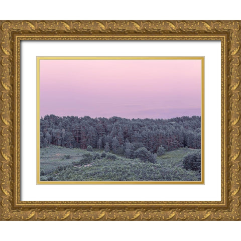 Dense Forest Gold Ornate Wood Framed Art Print with Double Matting by Frank, Assaf