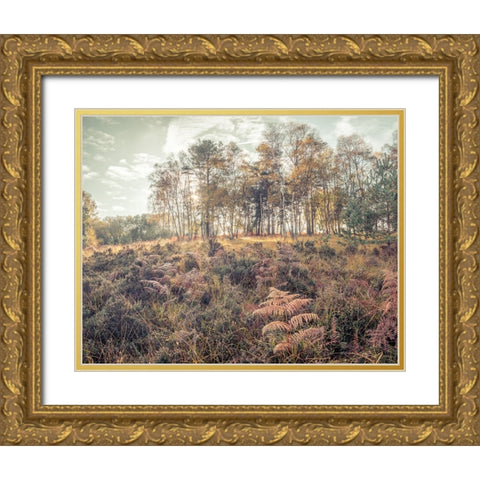 Forest with tall trees and foliage Gold Ornate Wood Framed Art Print with Double Matting by Frank, Assaf