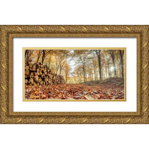 Stack of tree logs in autumn forest Gold Ornate Wood Framed Art Print with Double Matting by Frank, Assaf