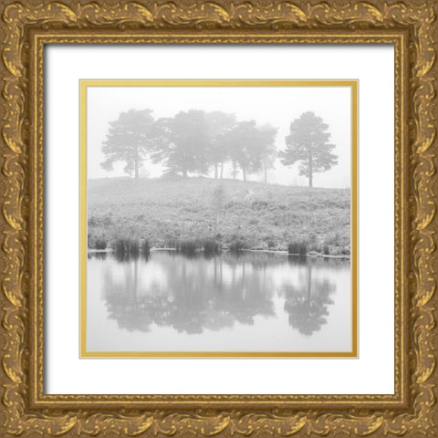Misty Pine trees-reflection Gold Ornate Wood Framed Art Print with Double Matting by Frank, Assaf