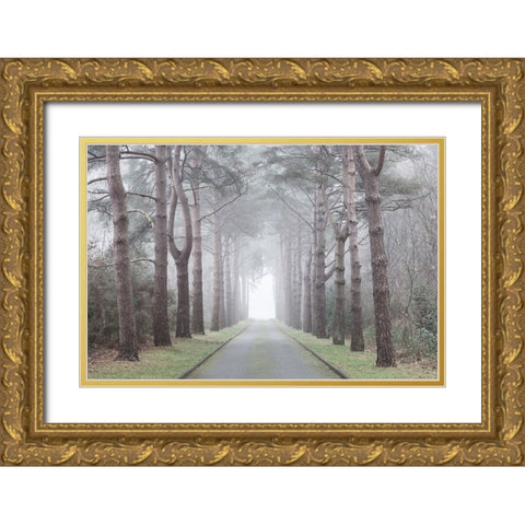 Road through mystic forest Gold Ornate Wood Framed Art Print with Double Matting by Frank, Assaf