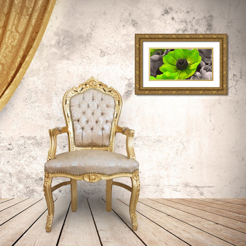 AF20111223 Anemone 008C15-2 Green Gold Ornate Wood Framed Art Print with Double Matting by Frank, Assaf