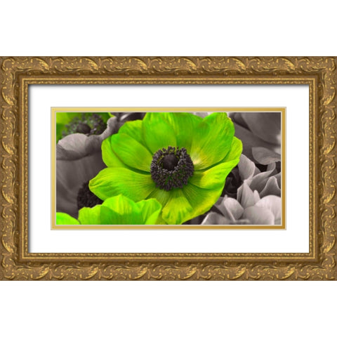 AF20111223 Anemone 008C15-2 Green Gold Ornate Wood Framed Art Print with Double Matting by Frank, Assaf