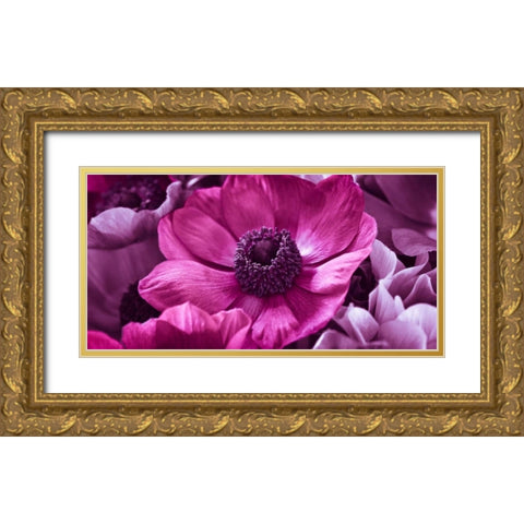 AF20111223 Anemone 008C15-2 RaspberryC01 Gold Ornate Wood Framed Art Print with Double Matting by Frank, Assaf