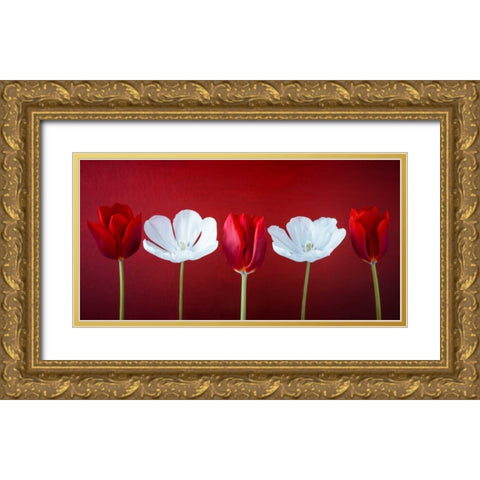 AF20120424 Tulips 351C12 Gold Ornate Wood Framed Art Print with Double Matting by Frank, Assaf