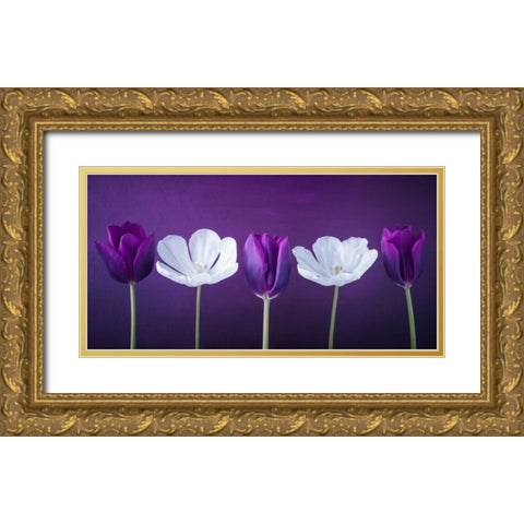 AF20120424 Tulips 351C13 Gold Ornate Wood Framed Art Print with Double Matting by Frank, Assaf